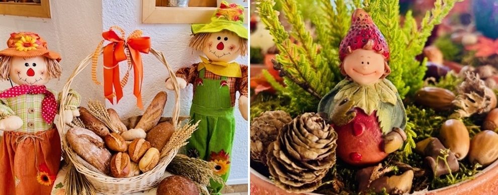 Herbstdekoration - Haus Sonnengarten